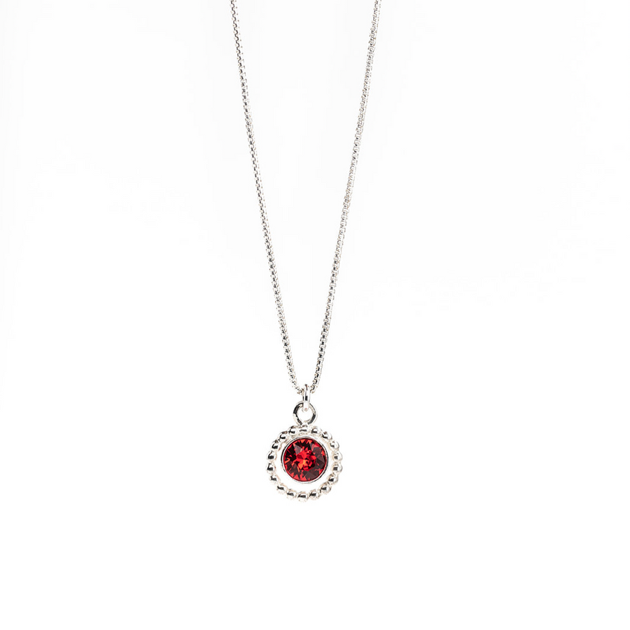 **COMING SOON (NOVEMBER ONLY) Birthstone Necklace